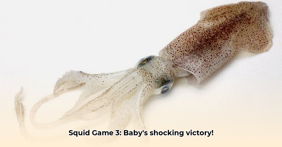 squid-game-3-ending-explained